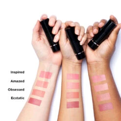 Plush Rush Blush & Lip - Inspired -Featured Cosmetics Stores bl swatches labeled arm 2